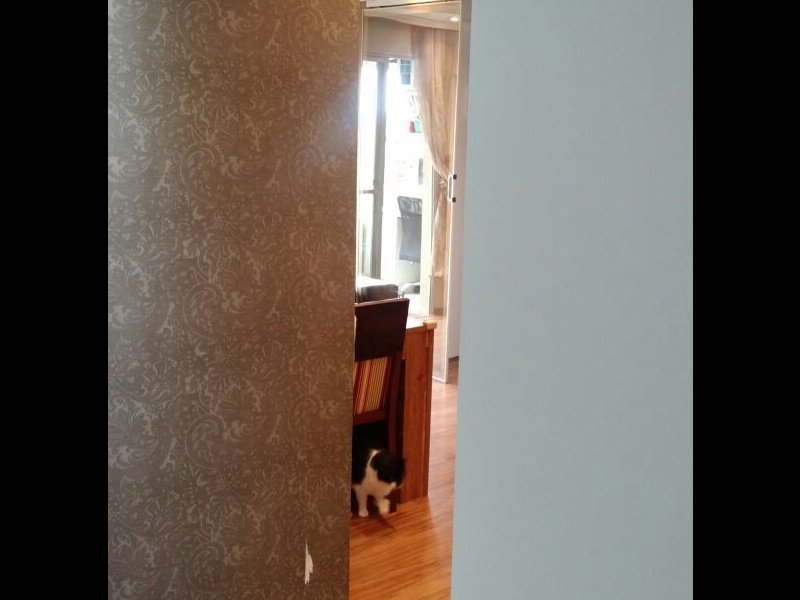 Apartamento à venda Paraíso do Morumbi com 67m² e 2 quartos por R$ 310.000 - 1847861097-apto-entrada001.JPG