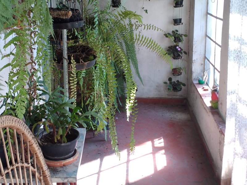 Casa à venda Bosque da Saúde com 266m² e 4 quartos por R$ 900.000 - 728443950-varanda.jpg