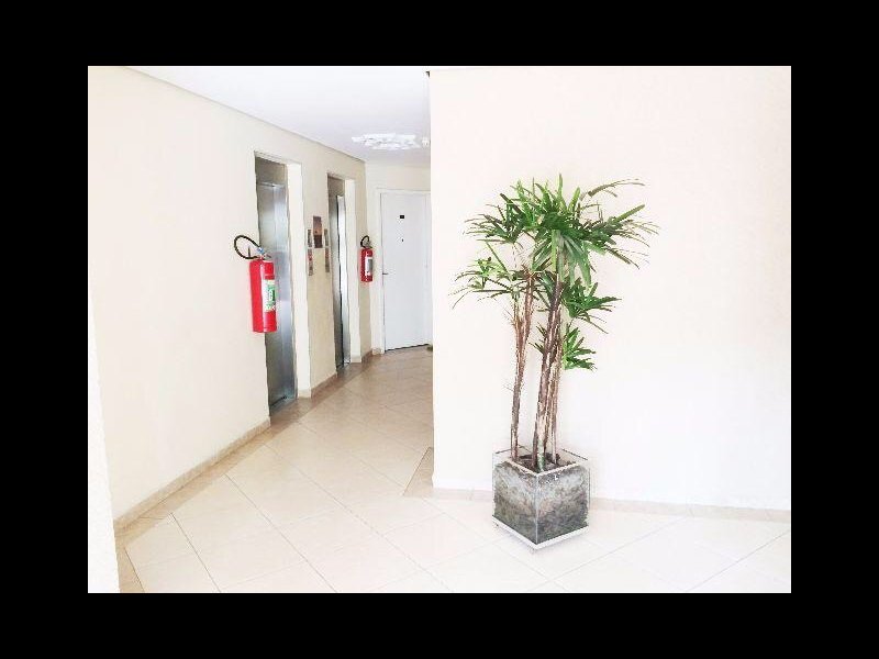 Apartamento à venda Imirim com 50m² e 2 quartos por R$ 255.000 - 1022875391-ecb227ce-05cf-4226-8baa-4528c36b4585.jpeg