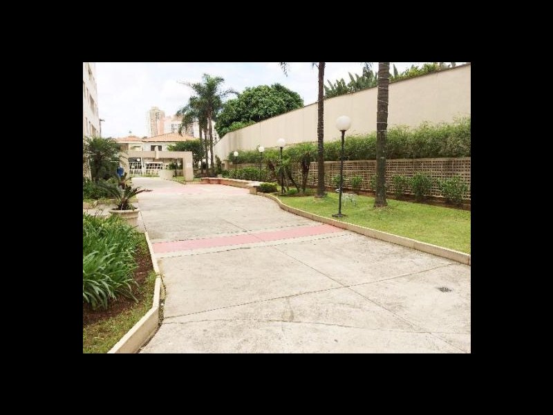 Apartamento à venda Imirim com 50m² e 2 quartos por R$ 255.000 - 881936110-2ccfb02e-d48f-4a23-8aaa-fb70259ce51b.jpeg