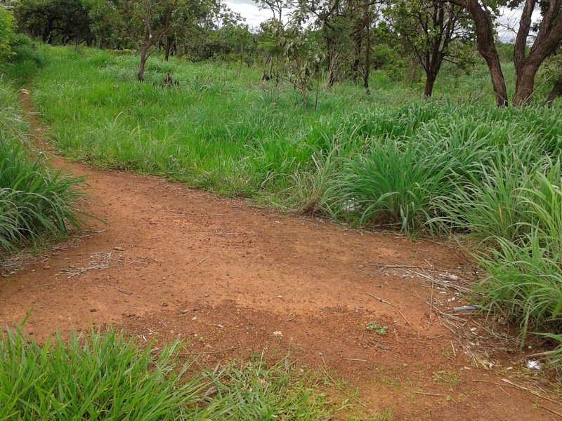 imóvel com 20000m² - Arapoanga (Planaltina) - Brasília