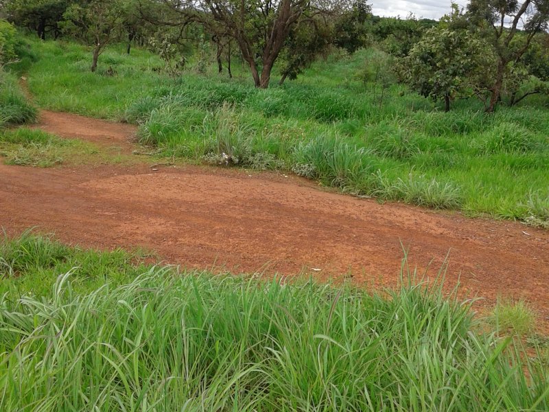 imóvel com 20000m² - Arapoanga (Planaltina) - Brasília
