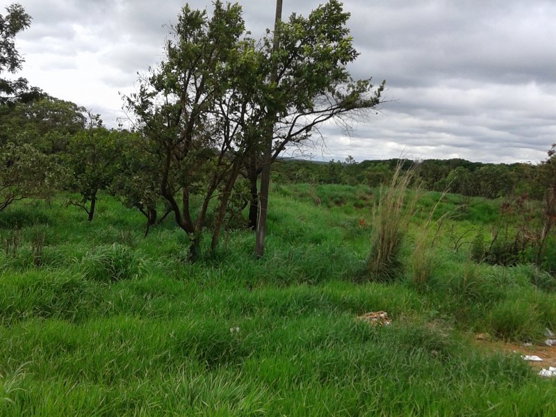 imóvel com 20000m² - Arapoanga (Planaltina) - Brasília