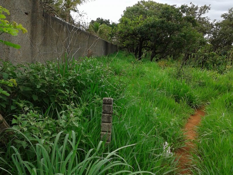 imóvel com 20000m² - Arapoanga (Planaltina) - Brasília