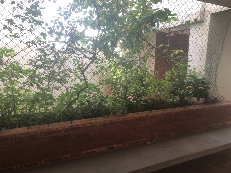 Apartamento à venda Icaraí com 105m² e 3 quartos por R$ 630.000 - 1684985724-9907bb67-cce2-4285-89d6-5df47e1c0df4.jpeg