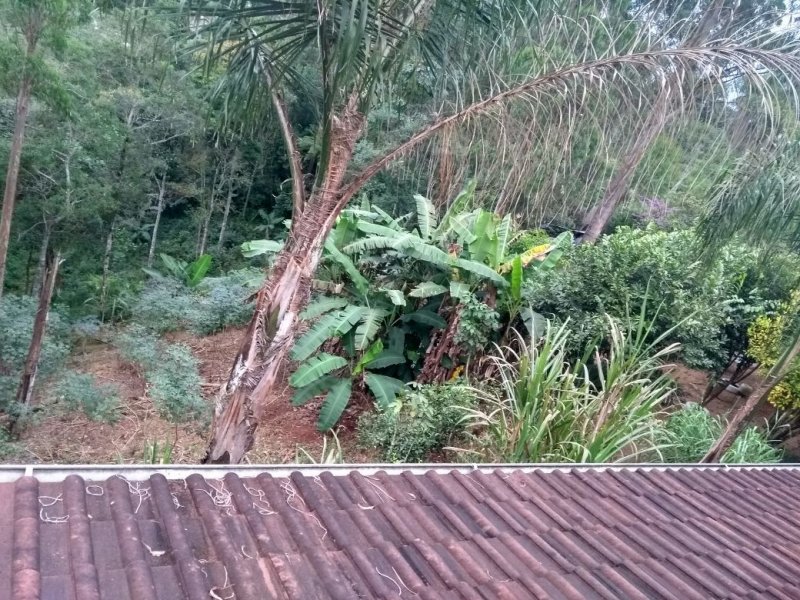 Chácara à venda Itaquaciara com 440m² e 5 quartos por R$ 700.000 - 584476172-8e22cfbc-0860-4212-96e8-9262be7fca91.jpeg