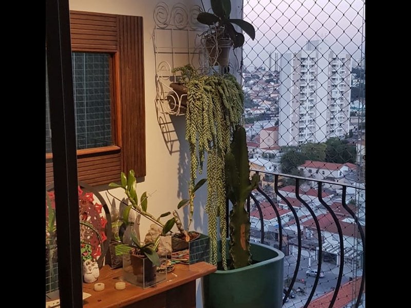 Apartamento à venda Vila da Saúde com 65m² e 3 quartos por R$ 600.000 - 1040817058-img-20190622-wa0002.jpg