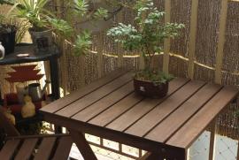 Apartamento à venda Jardim Sao Vicente com 64m² - 2 dormitórios -  vagas - R$ 230.000 - 234848321-cymera-20141209-143240.jpg