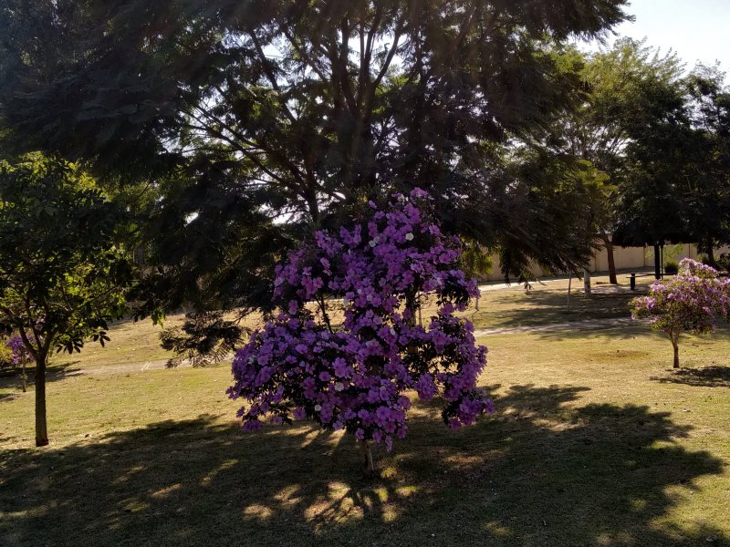 Terreno à venda Parque dos Pinheiros com 1014m² e  quartos por R$ 300.000 - 1499796220-img-20190620-142748.jpg