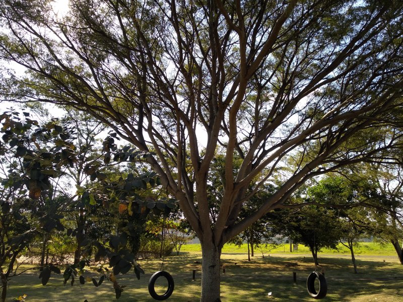 Terreno à venda Parque dos Pinheiros com 1014m² e  quartos por R$ 300.000 - 1998094773-img-20190620-142147.jpg