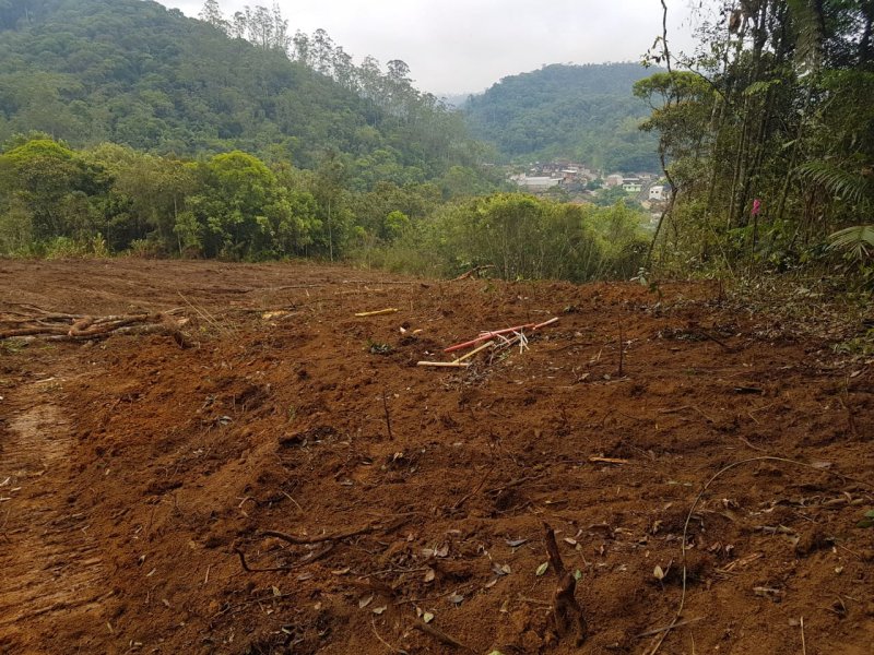 Terreno à venda Bateas com 28000m² e 1 quarto por R$ 1.400.000 - 1795332470-img-20190207-wa0029.jpg
