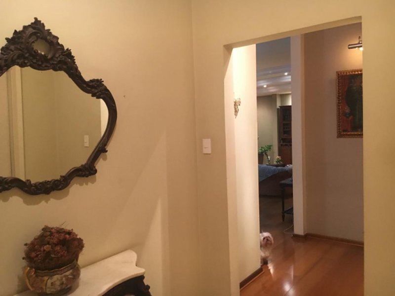 Apartamento à venda Centro com 244m² e 4 quartos por R$ 790.000 - 1290976897-whatsapp-image-2019-06-23-at-21.jpeg