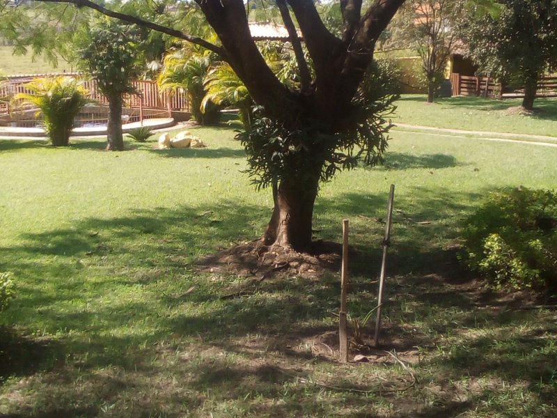 Chácara à venda Jardim Morada do Sol com 800m² e 6 quartos por R$ 1.200.000 - 134316032-img-20190612-124237.jpg