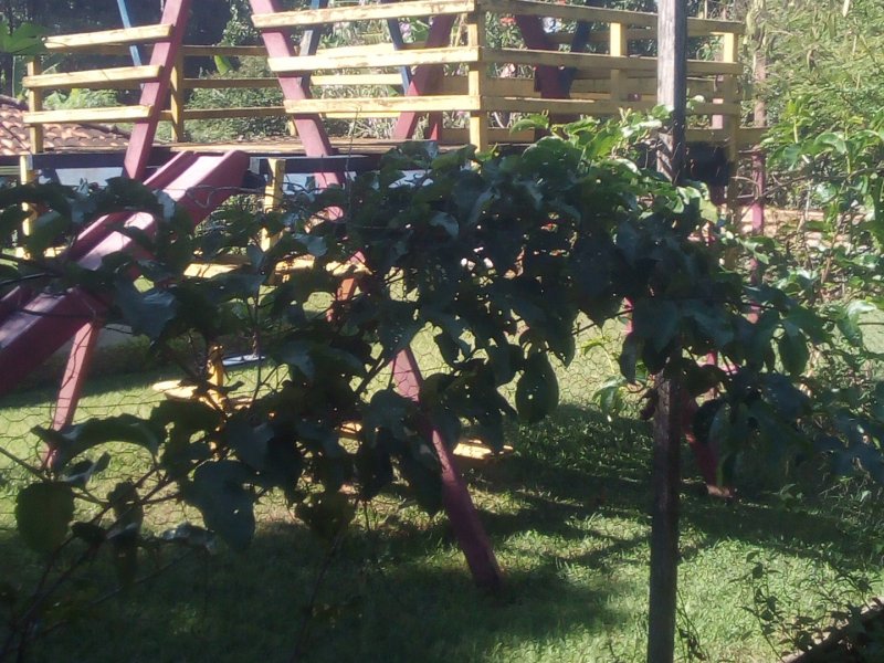 Chácara à venda Jardim Morada do Sol com 800m² e 6 quartos por R$ 1.200.000 - 567996889-img-20190612-122116.jpg