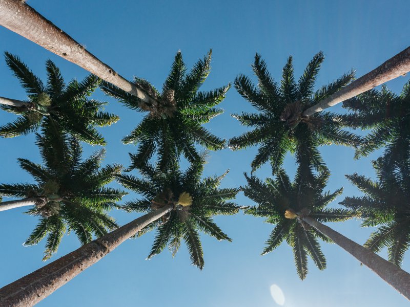 Casa de condomínio à venda Jardim São Marcos com 470m² e 4 quartos por R$ 2.115.000 - 1474125362-img-5173.jpg