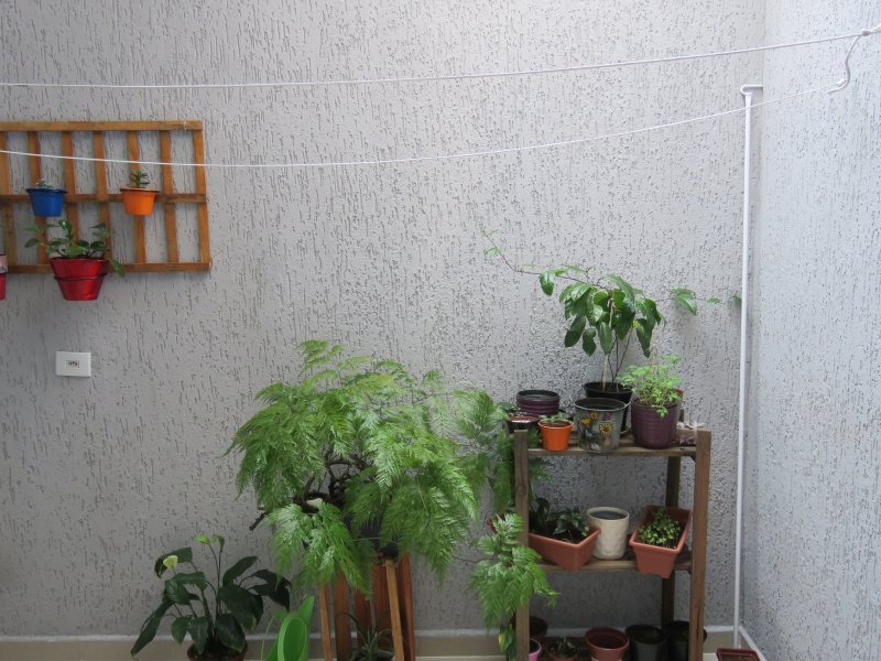 Casa à venda Vila Gustavo com 60m² e 2 quartos por R$ 450.000 - 2062031712-21-casa-vg-quintal-1.JPG
