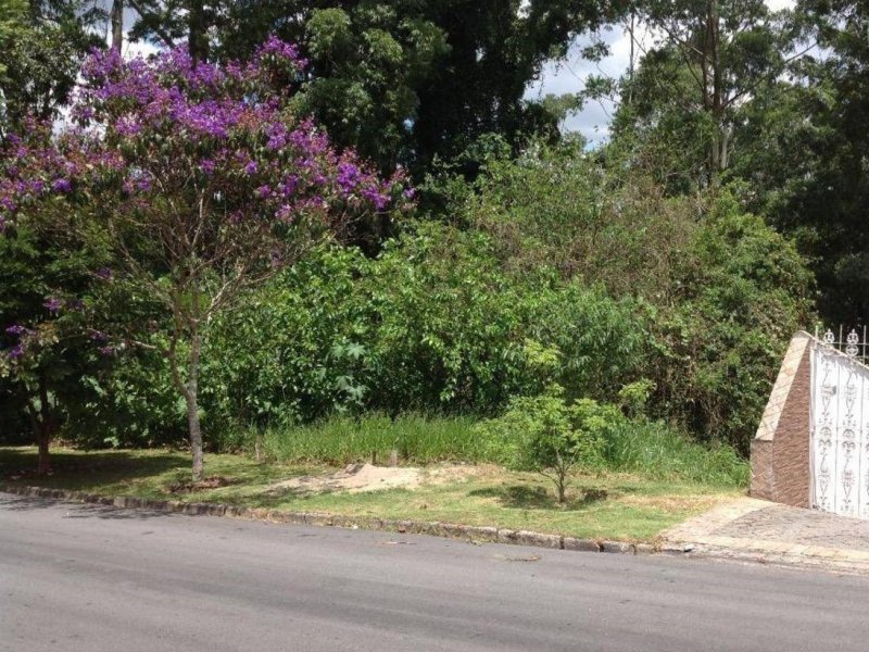 Terreno à venda Centro com 1290m² e  quartos por R$ 280.000 - 1026298838-aqpecsyxasru.jpg
