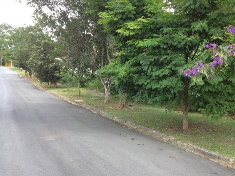 Terreno à venda Centro com 1290m² e  quartos por R$ 280.000 - 132285476-4mpg6dmxyuxy.jpg