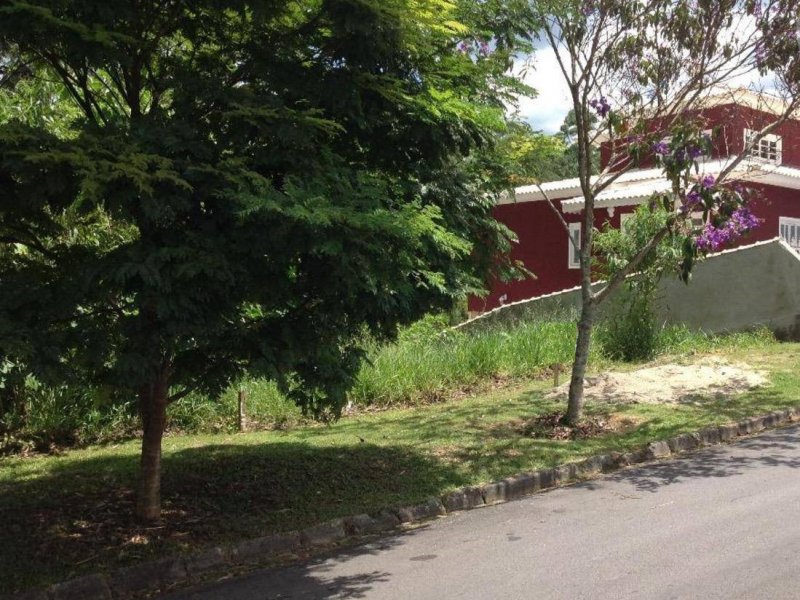 Terreno à venda Centro com 1290m² e  quartos por R$ 280.000 - 1899500803-zrdnduw8dbti.jpg