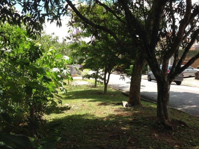 Terreno à venda Centro com 1290m² e  quartos por R$ 280.000 - 341110184-f2adsiltpnoc.jpg
