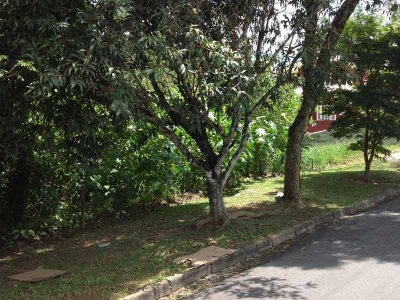 Terreno à venda Centro com 1290m² e  quartos por R$ 280.000 - 380633812-rwbx6yznh1vc.jpg
