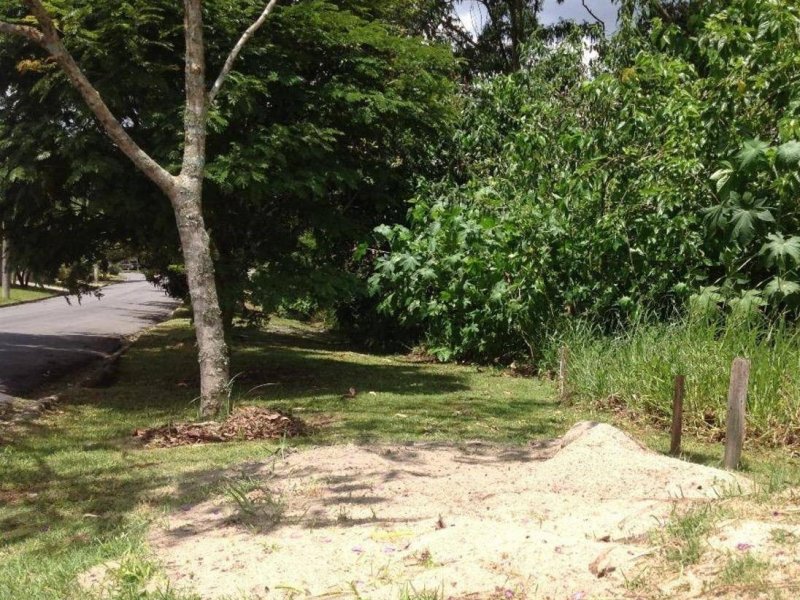 Terreno à venda Centro com 1290m² e  quartos por R$ 280.000 - 409894896-baibs5tam4cw.jpg