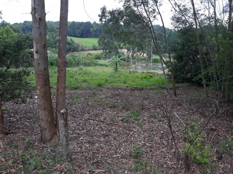 Chácara à venda Centro com 1000m² e 1 quarto por R$ 80.000 - 310271807-20181227-121645.jpg