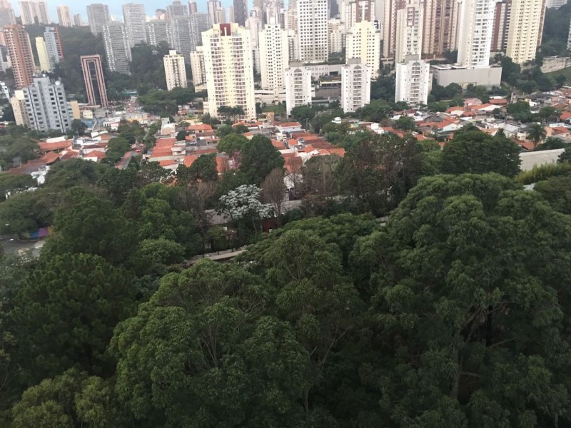 Apartamento à venda Morumbi com 75m² e 2 quartos por R$ 350.000 - 532598792-f6519819-8b88-4eb2-bf1c-6c0fab2dd817.jpeg