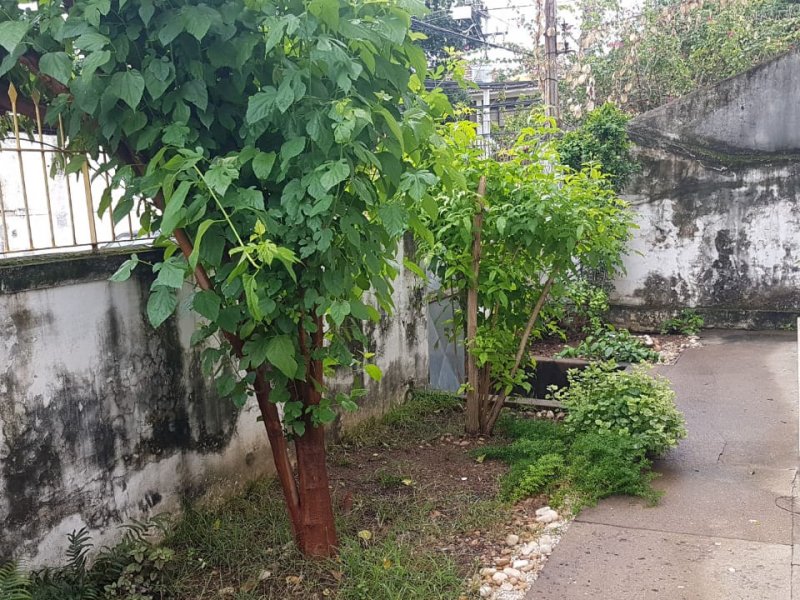 Casa à venda São Lourenço com 300m² e 2 quartos por R$ 450.000 - 1240016952-whatsapp-image-2019-06-05-at-13.jpeg
