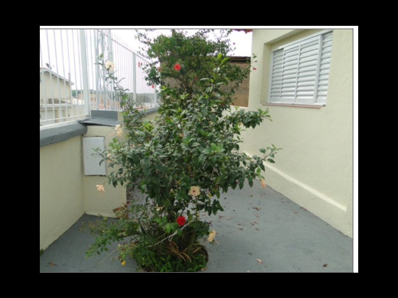 Casa à venda Jardim Bela Vista com 203m² e 2 quartos por R$ 360.000 - 893236531-img-0275.jpg