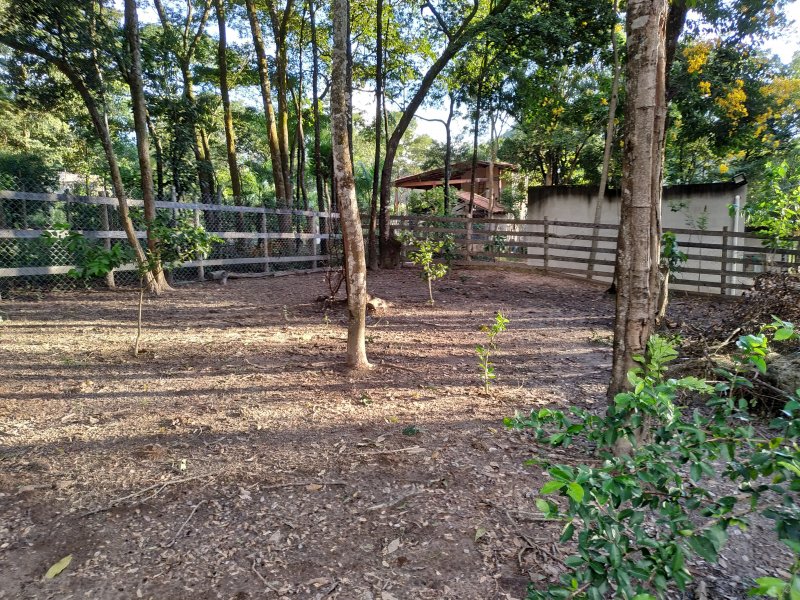 imóvel com 2570m² - Gentileza - Betim
