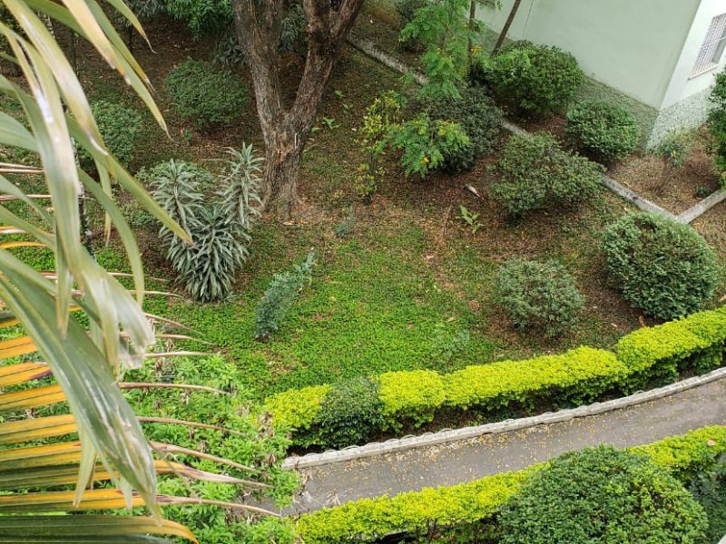 Apartamento à venda Centro com 59m² e 2 quartos por R$ 330.000 - 267648279-img-20190606-wa0192.jpg