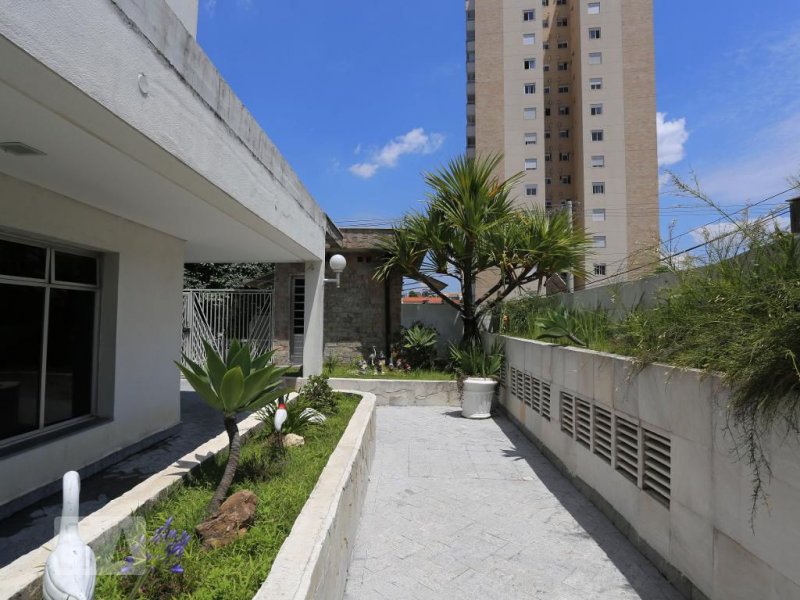 Cobertura à venda Vila Lageado com 110m² e 2 quartos por R$ 500 - 470707635-area-comum.jpg