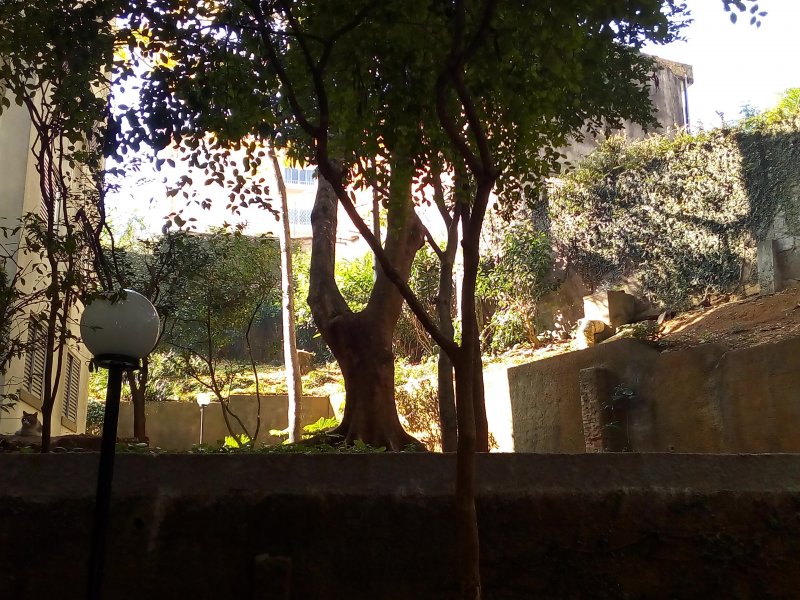 Apartamento à venda Jardim São Luís com 52m² e 2 quartos por R$ 185.000 - 561911929-img-20190623-094848.jpg