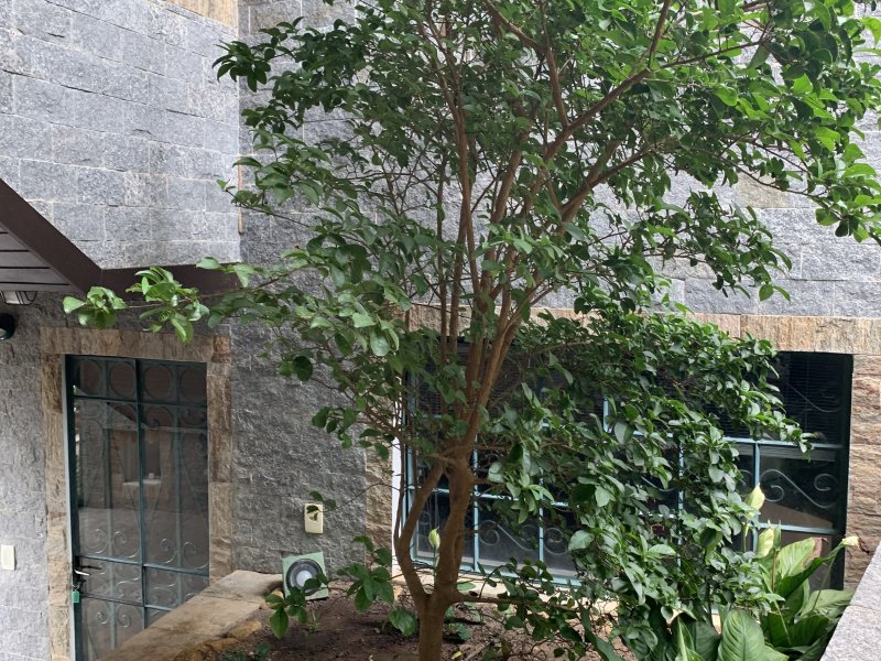Casa à venda Itaipava com 1140m² e 6 quartos por R$ 1.700.000 - 1965192368-e1a49791-7c47-493e-b8c4-91a2af1e096a.jpeg