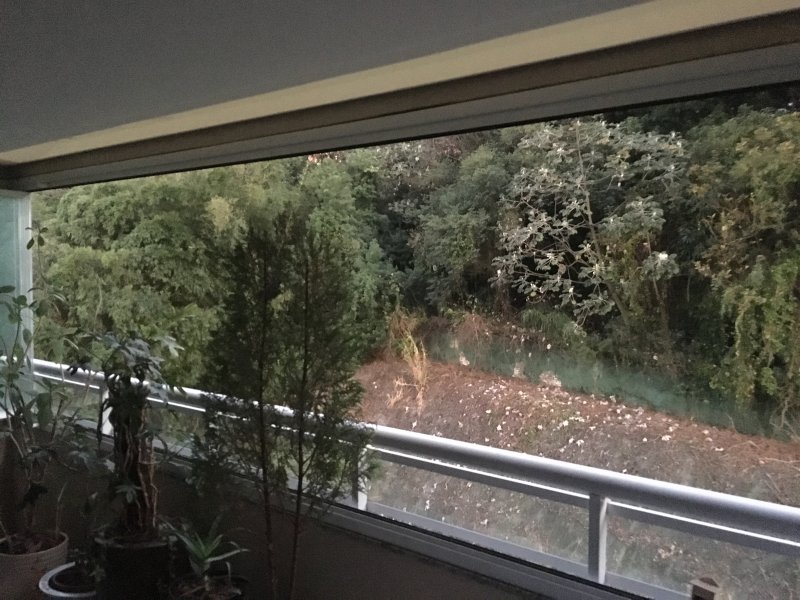 imóvel com 97m² - Cambuci - São Paulo