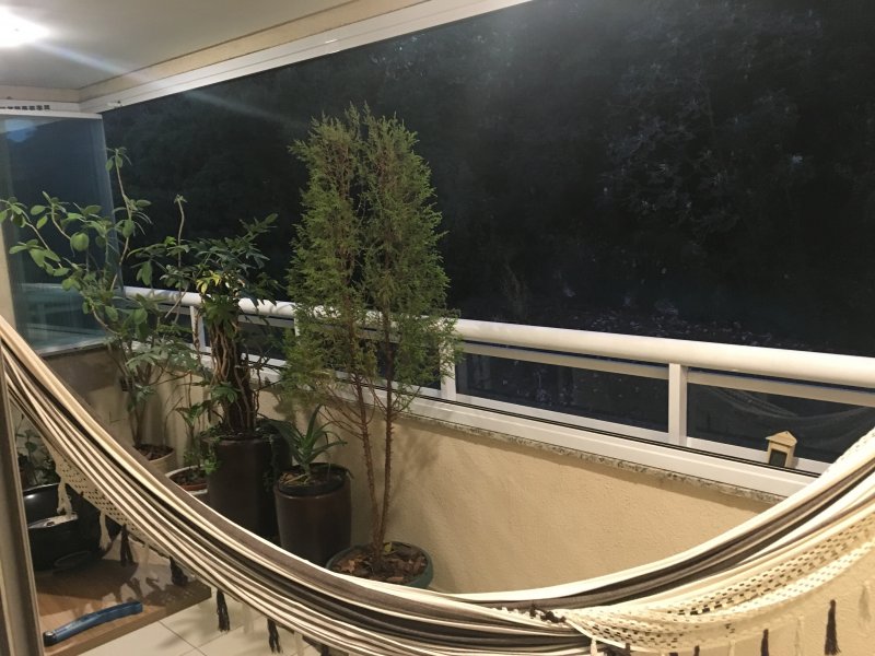 imóvel com 97m² - Cambuci - São Paulo