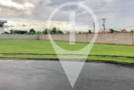 587445219-inshot-20190701-130632206.jpg