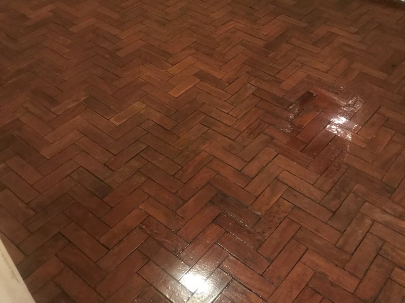 Casa à venda Parque Fongaro com 75m² e 2 quartos por R$ 365.000 - 1693911205-f20673a3-4cab-4d91-bad0-fd6e999c23aa.jpeg