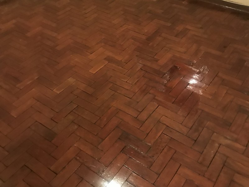 Casa à venda Parque Fongaro com 75m² e 2 quartos por R$ 365.000 - 2009788607-9a154e97-6d1f-4938-b985-472a0456a08a.jpeg