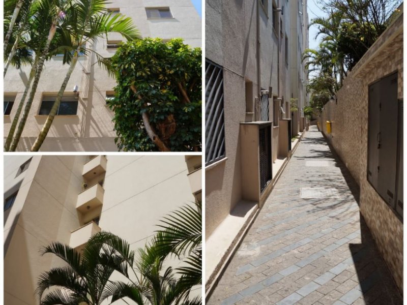 Apartamento à venda Paulicéia com 49m² e 2 quartos por R$ 280.000 - 1072249469-14.JPG
