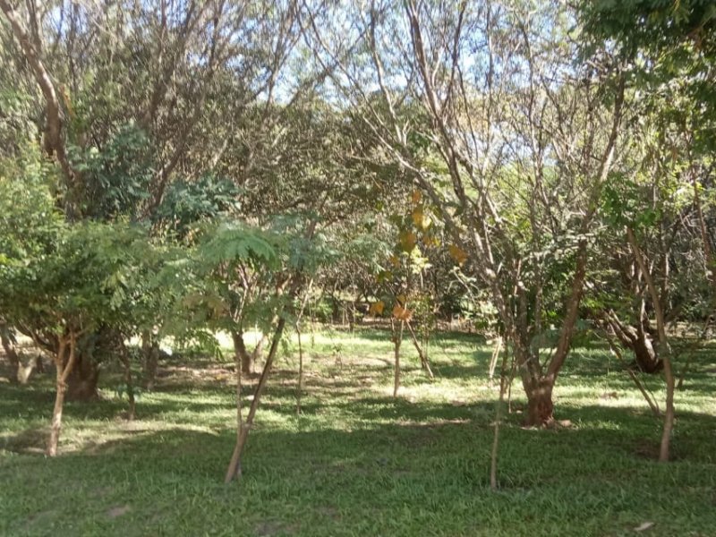 Apartamento à venda Jardim Santo André com 62m² e 2 quartos por R$ 210.000 - 927638737-whatsapp-image-2019-06-29-at-12.jpeg