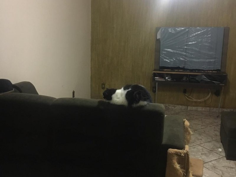 Casa à venda Jardim São José com 260m² e 2 quartos por R$ 160.000 - 450132632-whatsapp-image-2019-07-02-at-13.jpeg