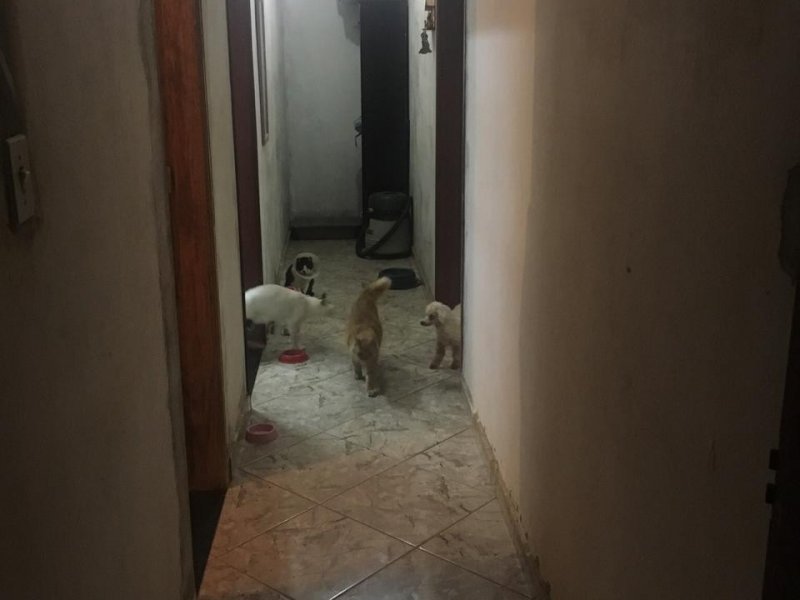 Casa à venda Jardim São José com 260m² e 2 quartos por R$ 160.000 - 965645115-whatsapp-image-2019-07-02-at-13.jpeg