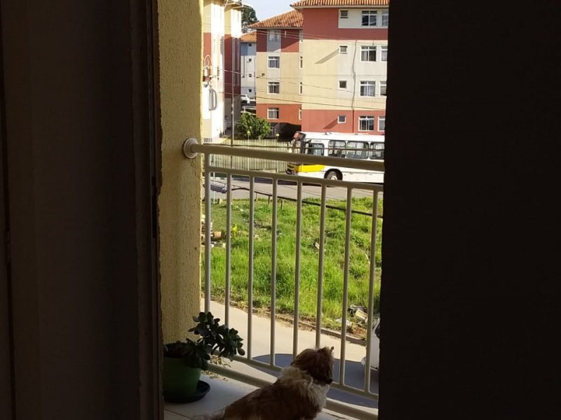 Apartamento à venda Campo de Santana com 45m² e 2 quartos por R$ 90.000 - 1489755772-011.jpg