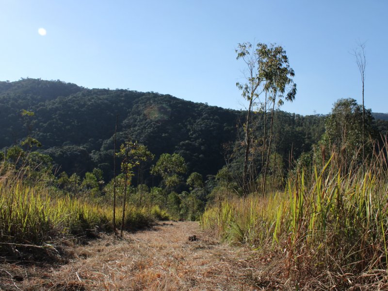 Terreno à venda Rio acima com 500m² e  quartos por R$ 30.000 - 784622824-20190629152303-img-2611.JPG