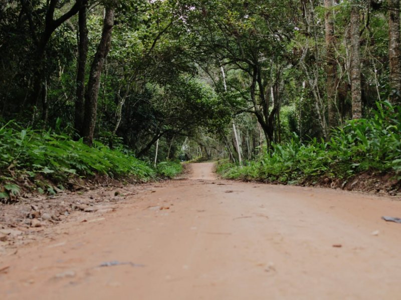 Terreno à venda Rio acima com 500m² e  quartos por R$ 30.000 - 926628393-img-20190701-wa0085.jpg