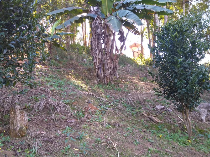 Terreno à venda Quinta Divisão com 1000m² e  quartos por R$ 65.000 - 1028066869-2.jpg