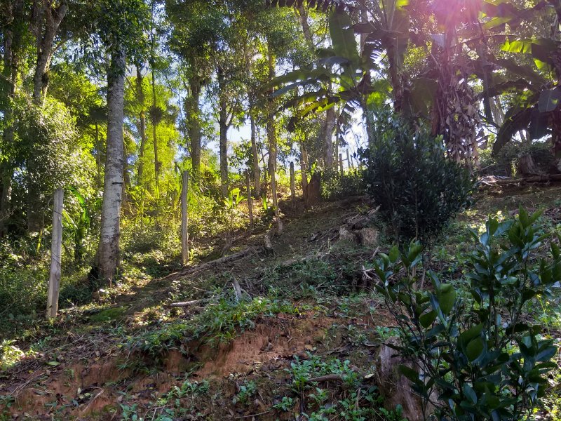 Terreno à venda Quinta Divisão com 1000m² e  quartos por R$ 65.000 - 1134621404-6.jpg