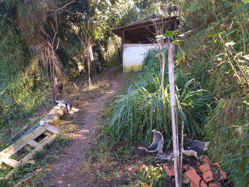 Terreno à venda Quinta Divisão com 1000m² e  quartos por R$ 65.000 - 163401094-1.jpg
